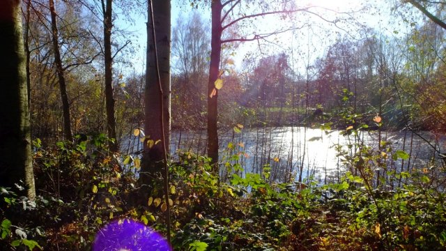 Herbst in Hattrop 2018